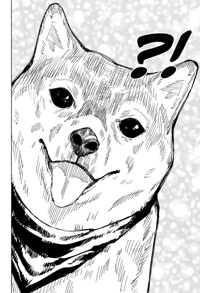 Jujutsu Kaisen Manga English 